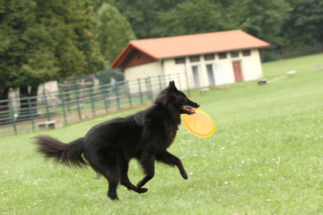 Leonie bei Frisbee