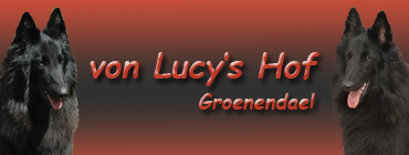 Lucy's Hof